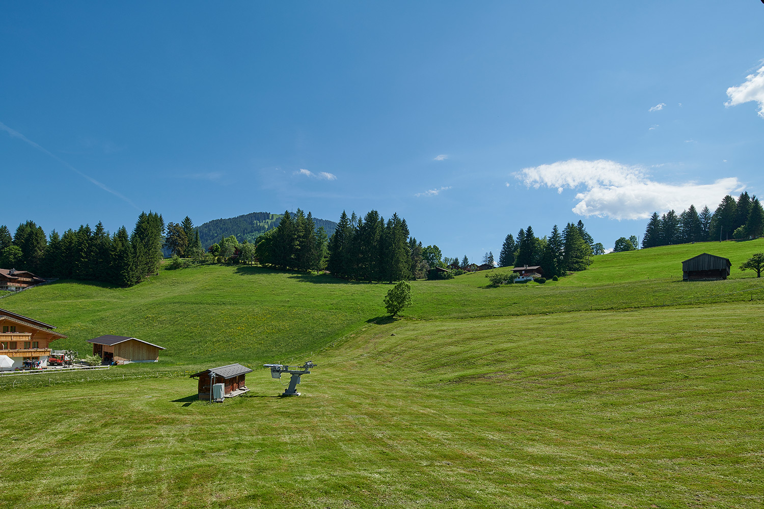 Alphorn Gstaad   