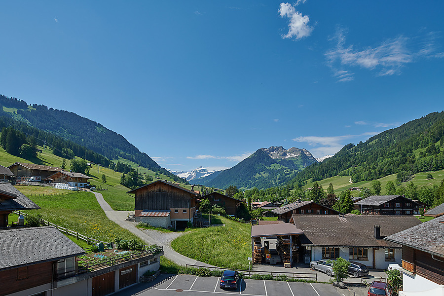 Alphorn Gstaad   